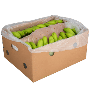 Cooking Bananas 40 LB Box